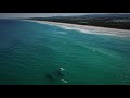 Whales at Black Rocks