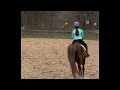 Horse riding fails pt 1