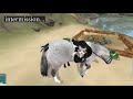 Star Stable Doing Your DARES!