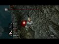 The Biggest Embarrassing moment in Souls Series