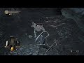 DS3 So Many Questions...