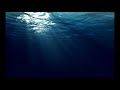 1 Hour of Ocean with Thomas Newman