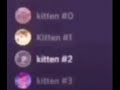 Discord Kitten#2 🤨