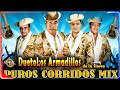 Los Armadillos de la Sierra Mix Exitos - Corridos y Rancheras - 15 Corridos Puros ( Album Completo )