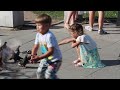 2014-08-30.KHABAROVSK VOKSAL.Fountain 2-Child with Pigeons.MVI_5801.CUT 7secs. SlowMo 17secs.Music: