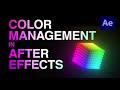 Color Management in Adobe After Effects