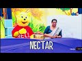 Lesson #19 - නැණ පියස with Hello 🐻 English Class on KIDS TV 💝