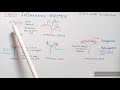 RACEMOSE INFLORESCENCE AND ITS TYPES || Indefinite Inflorescence || Inflorescence types with eg ||