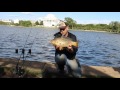 How to catch carp quickly - Fishing for carp with pack bait