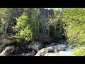 Granite Falls Fish Ladder: The Beginning of Summer (4)