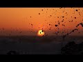 TIME LAPSE :: Beautiful Ocean Sunrises & Sunsets (1080p FULL HD)