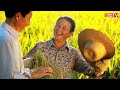 Inilah Keuntungan Menggunakan Mesin Tanam Padi Modern (Rice Transplanter)