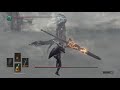 38 year old man defeats The Nameless King. NAILS.