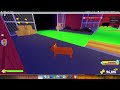 Roblox Pet Story Playthrough