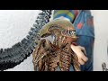 Alien NECA Collection