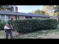 Saving an 87-Year-Old Lady from a Code Enforcement Fine: Backyard Transformation!