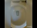 How to Clean Toilet from Grout Using Barkeeper's Friend