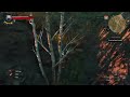 The Witcher 3: Wild Hunt glitch