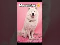 Your month your puppy 🐶 #dogs