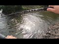 Summer Spillway Fishing on the Black Warrior River for Whatever Bites!!!