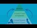 What are Federal and State Court Systems in the United States