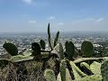 Cali Adventure Day 5 - Runyon Canyon Park