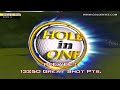 Golden Tee Great Shot on Highland Links!