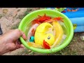 Vlog Rabbit Plays With Animals, Crocodile, Eel, Duck, Crab, Ornamental Fish Episode 2