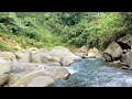 Cool River Flow, Forest Sounds, Nature Sounds