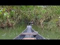 A Visit to Ratargul Swamp Forest | Sylhet || Finsta Studio