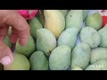 sa ganitong paraan ko na lng pinitas ang taas#mango