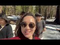 美國加州Ep3|優勝美地國家公園兩天一夜|住在優勝美地小木屋值得嗎？|Yosemite Valley Lodge|Yosemite Lower Fall |Tunnel View|Half dome