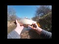 Catching Creek Carp on Corn