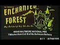 Enchanted Forest Commercial