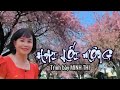 LK CHIỀU CUỐI TUẦN - Minh Thi Cover ♫ ST: Trúc Phương & Tô Giang