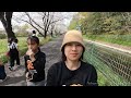 🇯🇵Đạp Xe Đi Ngắm Con Đường Hoa Anh Đào Dài Nhất Ở Nhật Bản Đang Nở Rộ | Cuộc Sống Ở Nhật #252