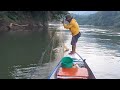 Merawai ikan baung di sungai kelai