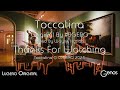 Piano & Harpsichord  🎶 “Toccatina” 🎶 Light classical. Composed by LUGERO 🎼🎹🎶 Genos