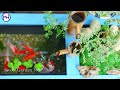 Unbelievable! Stunning fish aquarium fish tank from metal