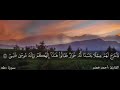 سورة طه (كاملة) القرائ احمد خضر