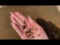 ASMR | 1 HOUR + Wet Pebbles, Concrete Scratching & Camera Tapping