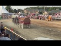 BUDWEISER CLYDESDALES, ARMADA FAIR, DOG FALLS OFF THE WAGON