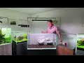 LIVE AQUASCAPING WORKSHOP AT AQUARIUM GARDENS