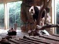 China Tour -- Life In Guangzhou -- Wildlife Park -- Part 13