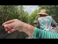 Springtime Florida Swamp Fishing for Catfish and Warmouth