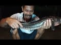 Rejeki Nomplok | Tombak Ikan Gabus Dapat Sekarung Auto Tangan Pegal Linu