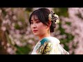 小石川後楽園の桜/和服の華とサギ美脚/Cherry Blossoms at Koishikawa Korakuen Garden-TOKYO