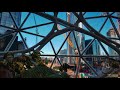 Inside Jeff Bezos' Amazon Spheres in Downtown Seattle