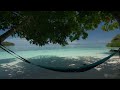 4K HDR Tropical Beach - Gentle Ocean Wave Sounds - Peaceful Wild Island - Relaxing Nature Video