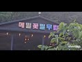 가수 금성훈의 화가나서 한 말이라고 Cover 권은주황금빛 배워봅니다